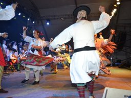 Festival de Folkore en Mula